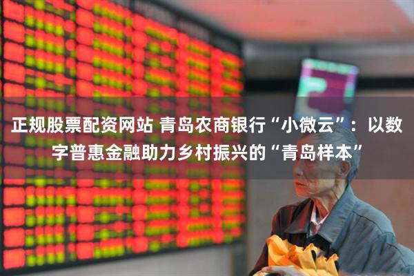 正规股票配资网站 青岛农商银行“小微云”：以数字普惠金融助力乡村振兴的“青岛样本”